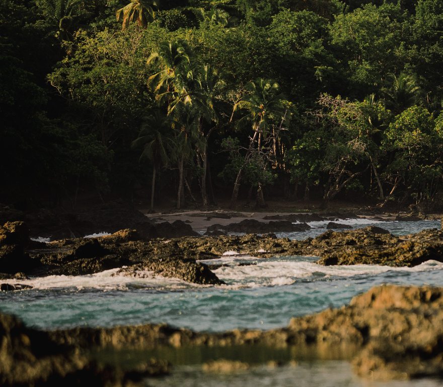 Costa y selva en Costa Rica